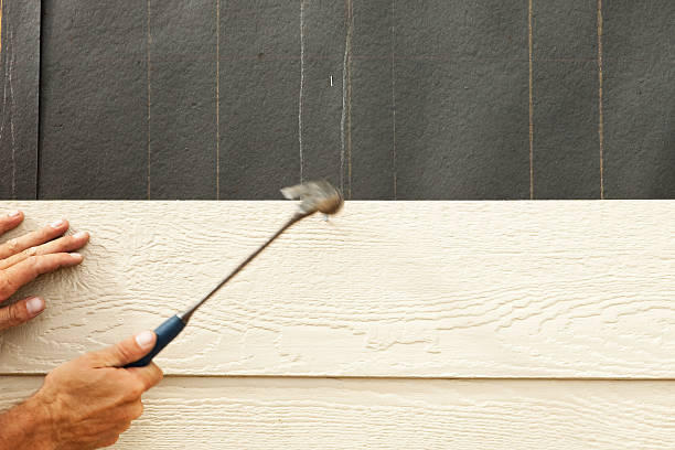 Affordable Siding Repair and Maintenance Services in Las Lomas, CA